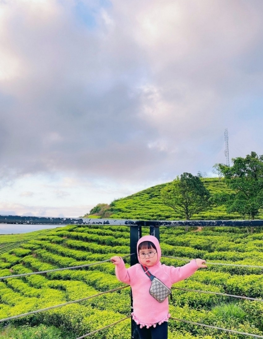 Chuyến du lịch Đà Lạt đầu tiên đầy thú vị của cô bé hai tuổi