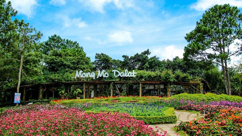 Đồi Mộng Mơ Đồi Mộng Mơ
