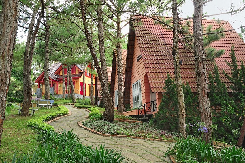 Đồi Mộng Mơ Đồi Mộng Mơ