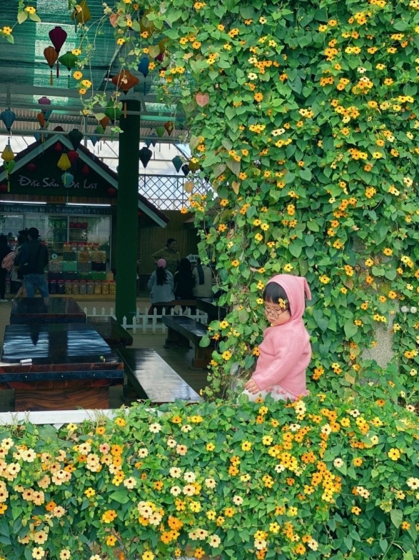 Chuyến du lịch Đà Lạt đầu tiên đầy thú vị của cô bé hai tuổi